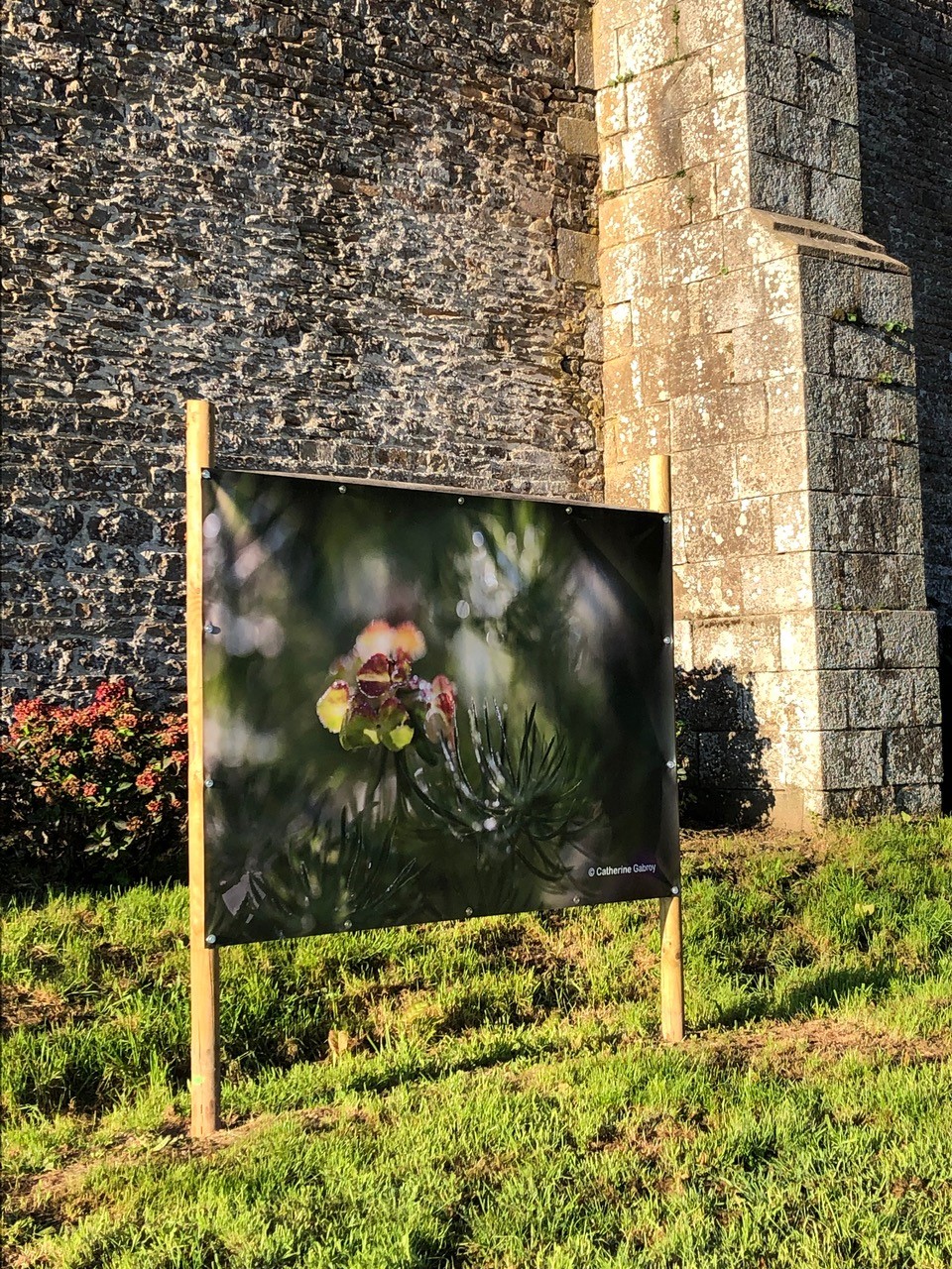 Panneau avec une de mes photos